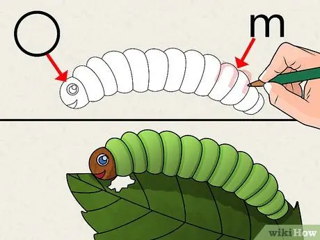 Nakreslete zvířata (děti) Krok 1