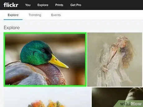 بارگیری تصاویر از Flickr مرحله 4