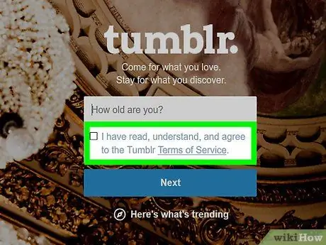 Tumblr 6. Adımı Kullan