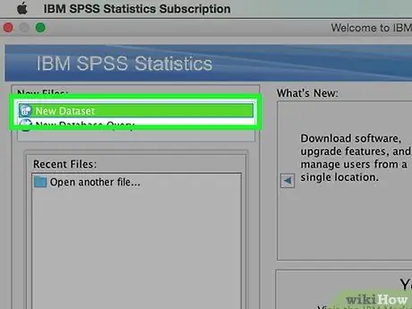 SPSS ধাপ 1 এ ডেটা লিখুন