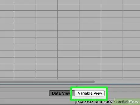 Ievadiet datus SPSS 2. darbībā