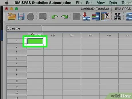 Məlumatı SPSS Addım 3 -ə daxil edin