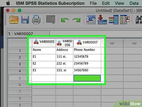 הזן נתונים בשלב SPSS