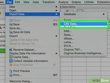 Εισαγάγετε δεδομένα στο SPSS Βήμα 8