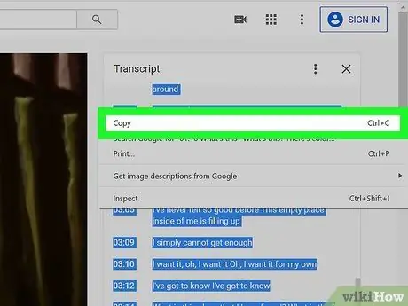 Download YouTube Video Subtitles Step 13