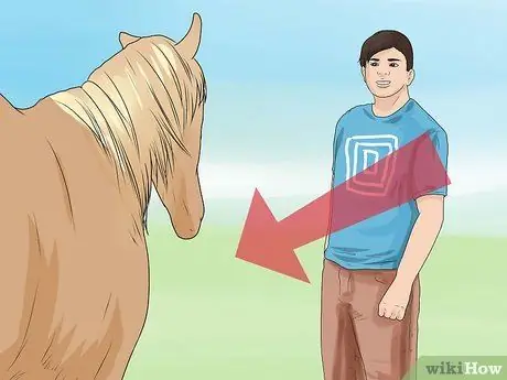 Approach Your Horse Step 4