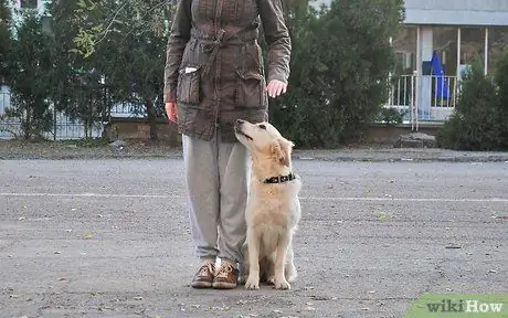 Нохой сургагч болох 3 -р алхам