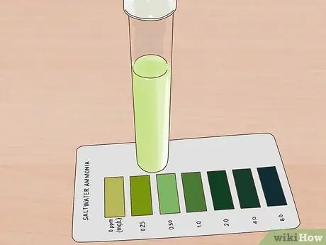 Qib qis ammonia hauv lub cev Kauj Ruam 2