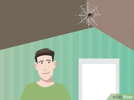 Overcome the Fear of Spiders Step 12