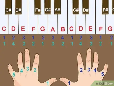 Belajar Main Organ Langkah 2