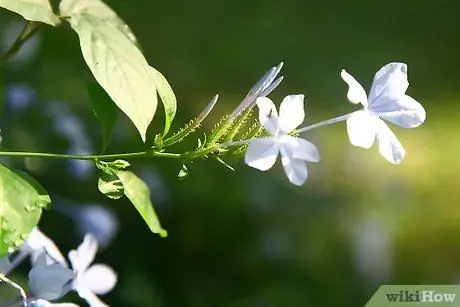 একটি ডিজিটাল ফটো ধাপ 2 নিন