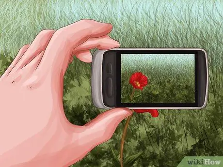 Become a Nature Photographer Step 13