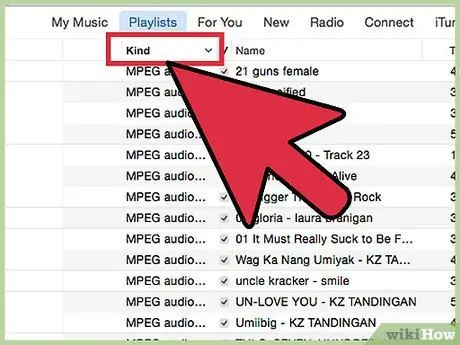 Korunan Sesi Düz Bir MP3'e Dönüştürün 4. Adım