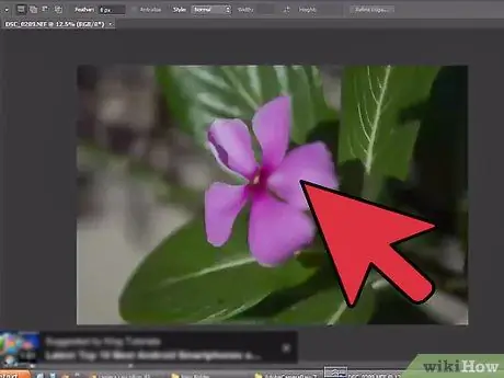 افتح ملفات NEF في Photoshop الخطوة 13