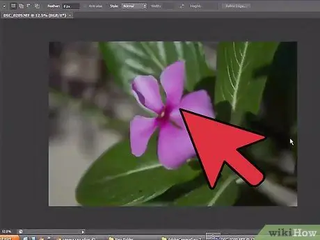 افتح ملفات NEF في Photoshop الخطوة 14