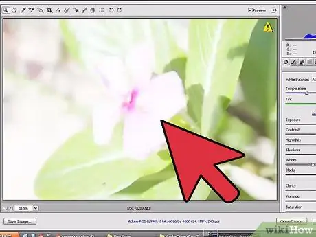 NEF Dosyalarını Photoshop Adım 9'da Açın