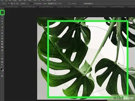 Verwenden Sie Adobe Photoshop Schritt 15