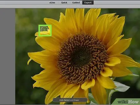 Eliminar el fondo con Photoshop Elements Paso 14