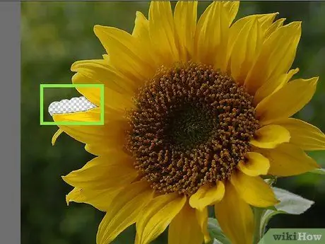 Photoshop Elements Adım 15 ile Arka Planı Kaldır