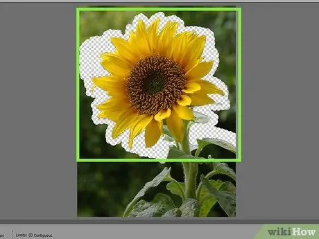 Verwyder agtergrond met Photoshop Elements Stap 16