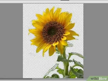 Eliminar el fondo con Photoshop Elements Paso 17