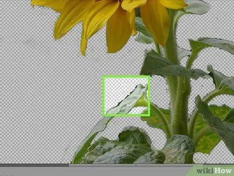 Verwyder agtergrond met Photoshop Elements Stap 18