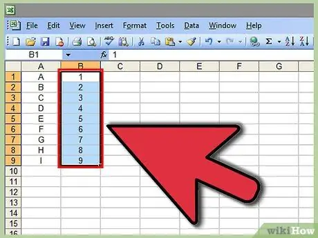 Kunci Sel dalam Excel Langkah 15