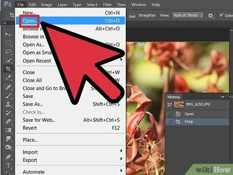 Photoshop -da solma 1 -ci addım