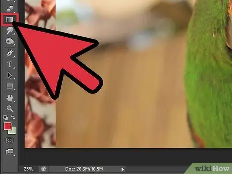 Photoshop -da solma 5 -ci addım