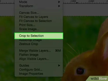 Կտրեք պատկերը ՝ օգտագործելով GIMP Քայլ 7