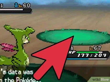 Pegue o Shiny Haxorus em Pokémon Black 2 e White 2, Etapa 9