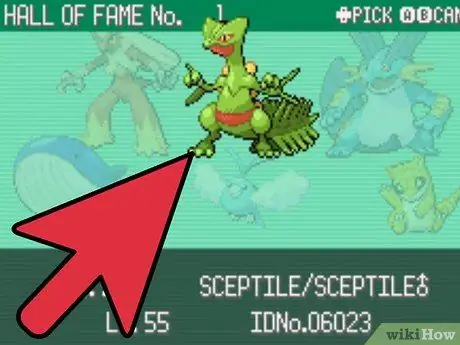 Fejleszd Feebast a Pokemon Emeraldban 1. lépés