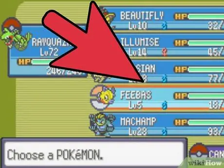 วิวัฒนาการ Feebas ใน Pokemon Emerald ขั้นตอนที่ 2