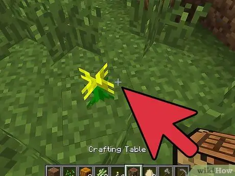 Minecraft Adım 5'te Kabak Turtası Yapın