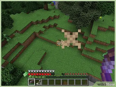 Убийте пълзящ в Minecraft Стъпка 12