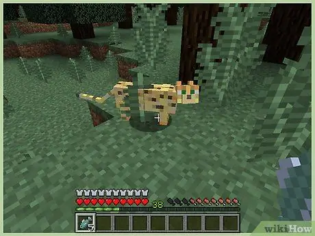 Kill a Creeper in Minecraft Step 2