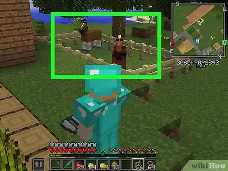 Membiakkan Kuda di Minecraft Langkah 12