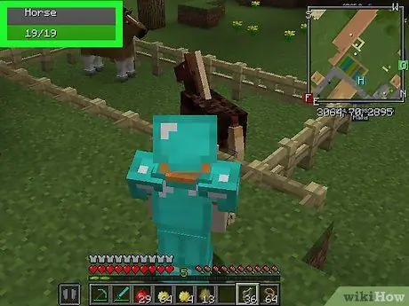 Paarden fokken in Minecraft Stap 13