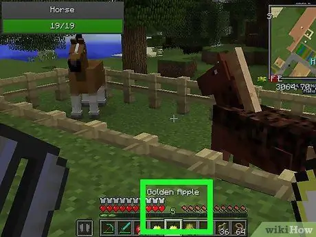 Élevez des chevaux dans Minecraft Étape 14