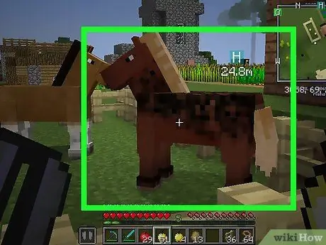 Breed Horses στο Minecraft Βήμα 15