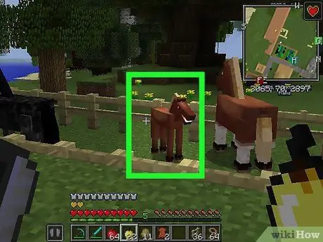 Breed Horses στο Minecraft Βήμα 16