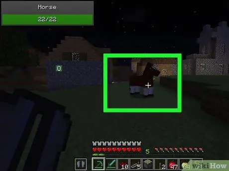 Breed Horses στο Minecraft Βήμα 2