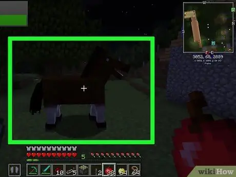 Cría caballos en Minecraft Paso 4