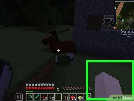 Šķirnes zirgi Minecraft 5. solī