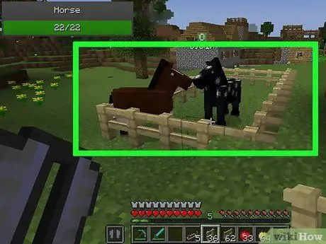 اسب نژاد در Minecraft مرحله 9