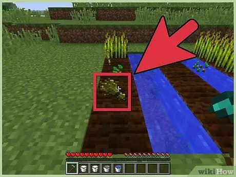 Buat Kek di Minecraft Langkah 4