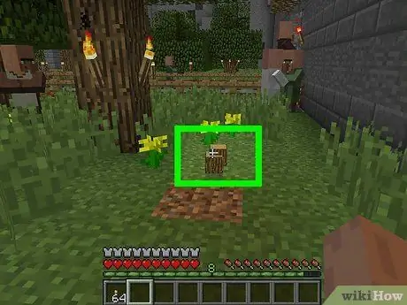 Breed Villagers στο Minecraft Βήμα 12