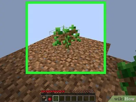 Igrajte SkyBlock u Minecraftu 11. korak