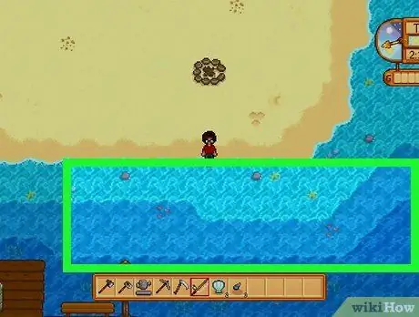 Fish Stardew Valley Switch ขั้นตอนที่ 2