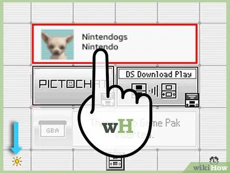 Стереть свою игру Nintendogs, шаг 1